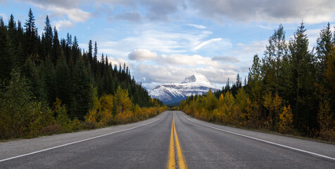 Fototapeta premium long road in the mountains with yellow lines 