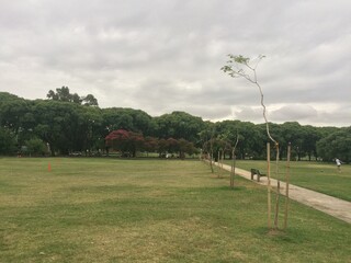Green sport park in summer Buenos Aires Argentina
