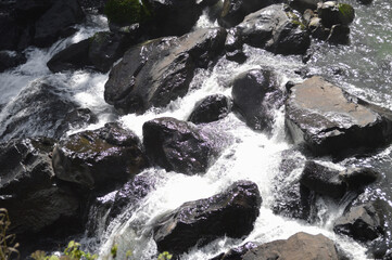 Corriente Río Piedras Agua Cascada