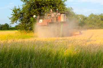 Naklejka premium combine harvester in field