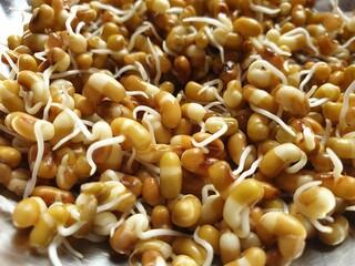 mushrooms in a bowl/sprouts grain in the bowl