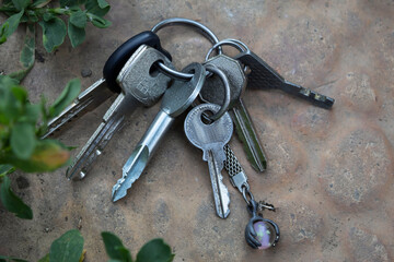 A bunch of lost keys with a keychain lies on the paving slabs.