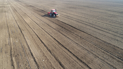 Rotary tiller planters grow peas on farms, Luannan County, Hebei Province, China