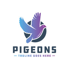 Obraz premium Pigeon vector logo design