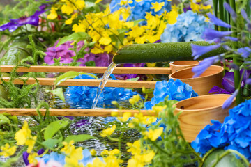 Fototapeta premium 色とりどりの花が浮かぶ花手水