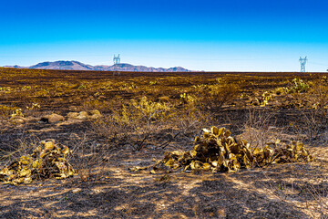 After the fire all is ashes