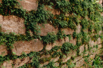 An old medieval stone wall, grass and moss on it. Wallpaper, natural background, copy space, soft focus.