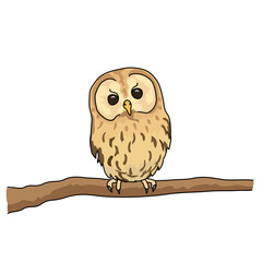 モリフクロウ