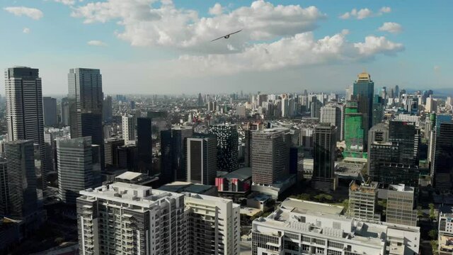 Eagle/Falcon/Hawk bird in the sky above Metro Manila. BGC, Taguig. Philippines