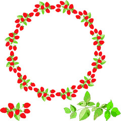 Vector round raspberry frame. Red berries with leaves, raspberries on a festive round frame
