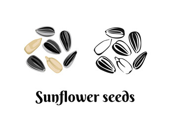 Sunflower seeds isolated on white background. Vector color illustration of  seed in shell and peeled in cartoon flat style and black and white outline. Organic food Icon.