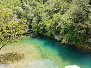 Fototapeta na wymiar river Voidomatis in summer people for pick nick under the green trees Greece