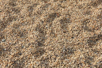 白く滑らかな玉砂利