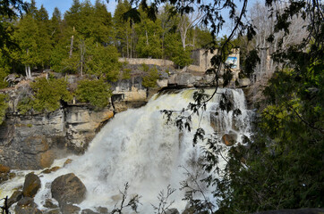 Inglis falls