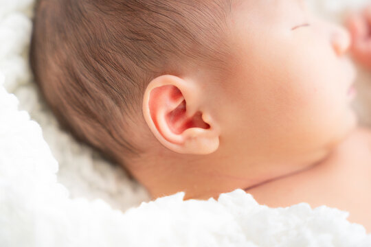 赤ちゃんの寝顔 横顔 と耳 新生児のニューボーンフォト Stock Photo Adobe Stock