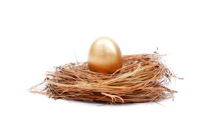 Shiny golden egg on the straw nest