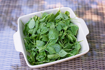 Clean food concept. Leaves of ripe juicy freshly picked organic baby spinach greens on the table....