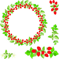 Raspberry wreath frame vector. Red berries with leaves, raspberries on a festive round frame