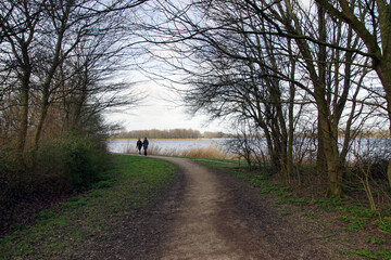 Fototapeta na wymiar A path to the lake from the Geestmerambacht recreation area near the Dutch city of Alkmaar. Netherlands, February 18, 2020. 