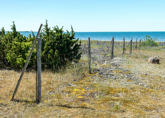 Fototapeta na wymiar summer landscape with a natural wooden fence on a rocky sea shore, Saaremaa Island, Estonia