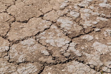 Texture of dried cracked earth because of no rain and drought season. Example of changing climate. Drought