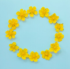 Round frame of yellow flowers on a blue background. Summer concept. Mockup, copy space