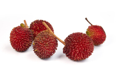 Wild Tropical Pulasan fruit (Nephelium mutabile Blume) closely linked to the rambutan, with short and stumpy hairs on thicker shell.