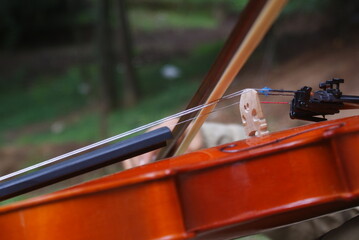 violin detallado