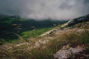 forge on the slopes of the summer mountains