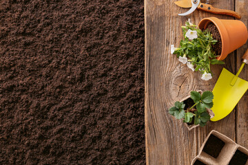 Set of gardening tools on soil
