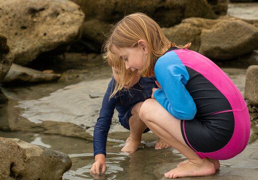 Two young children, a boy and a girl, looking into the water at a tide pool