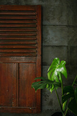 wooden windows vintage rustic home style with monstera plant leaves. Tropical rustic home decor concept