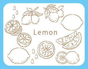 レモンのアイコンイラスト・セット。ベクター画像。