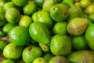 green avocado fruit in the market.