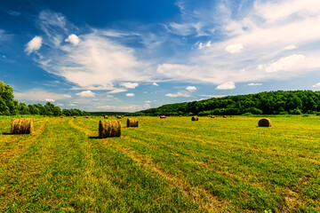 Scenic view at beautiful hay stacks in a green shiny field with green grass, deep blue cloudy sky ,...