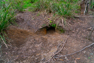 Berrima, New South Wales, Wombat Hole 1