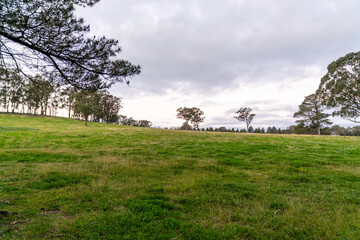 Fototapeta premium Berrima, New South Wales, Field