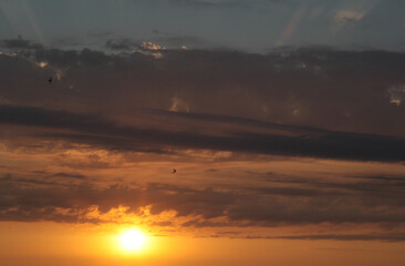 landscape of the evening (or morning) sky, clouds during sunset, look up