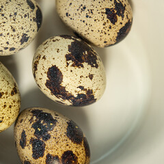 Fototapeta premium Quail eggs are in the plate, close-up.