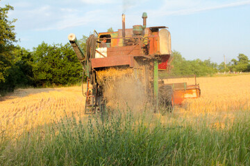 old tractor in the field