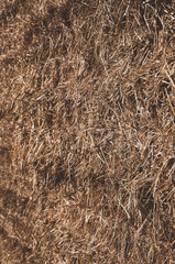 Close up of hay stack.Selective focus.