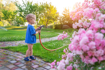 Cute adorable caucasian blond toddler boy enjoy having fun watering garden flower and lawn with...