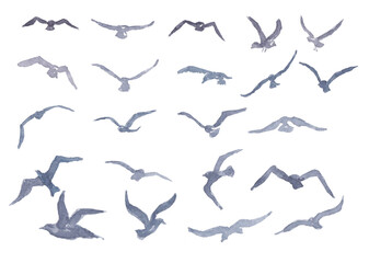 Fototapeta na wymiar Watercolor set of silhouettes of gulls.