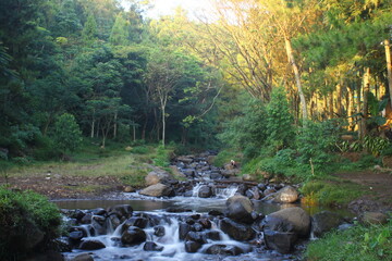 Photo of  Upstream river
