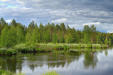 Fototapeta na wymiar Summer landscape with north forest lake, duck, lots of mosquitoes and heavy low clouds. Kuusamo, Finnish Lapland
