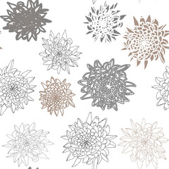 Vector seamless floral pattern with chrysanthemums. Hand drawn flowers background.