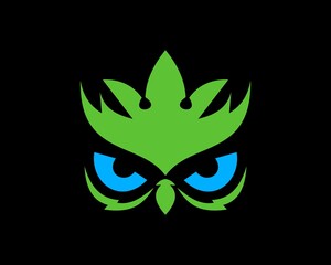 Owl head with leaf crown