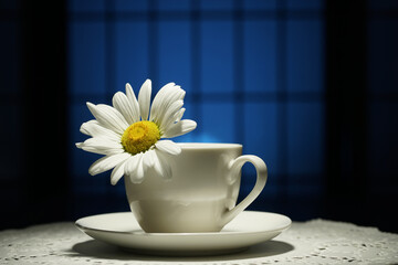 A camomile flower with water drops in a teacup  on a blue background. Narrow zone of sharpness....
