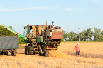 combine harvester on wheat field