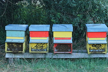 Fototapete bei efototapeten.de bestellen   